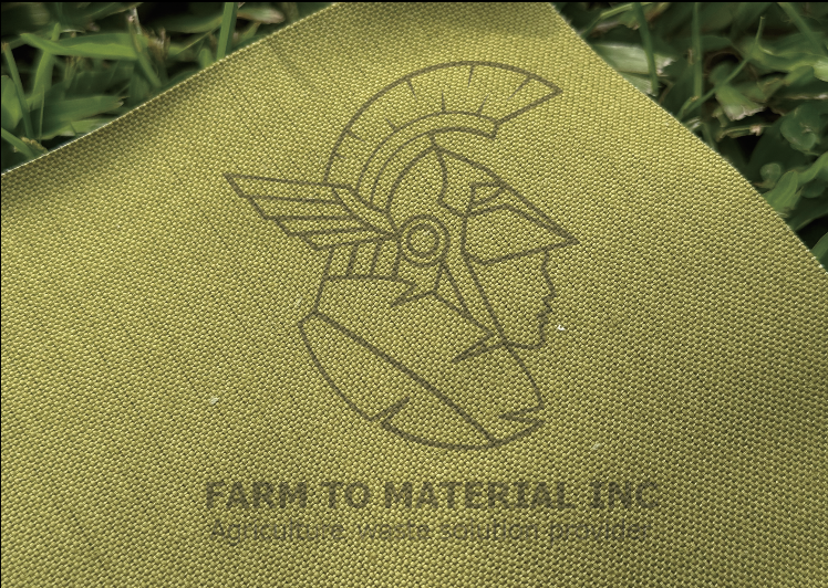 BNNs Plain weave 平紋布